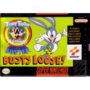 Super Nintendo Buster Busts Loose